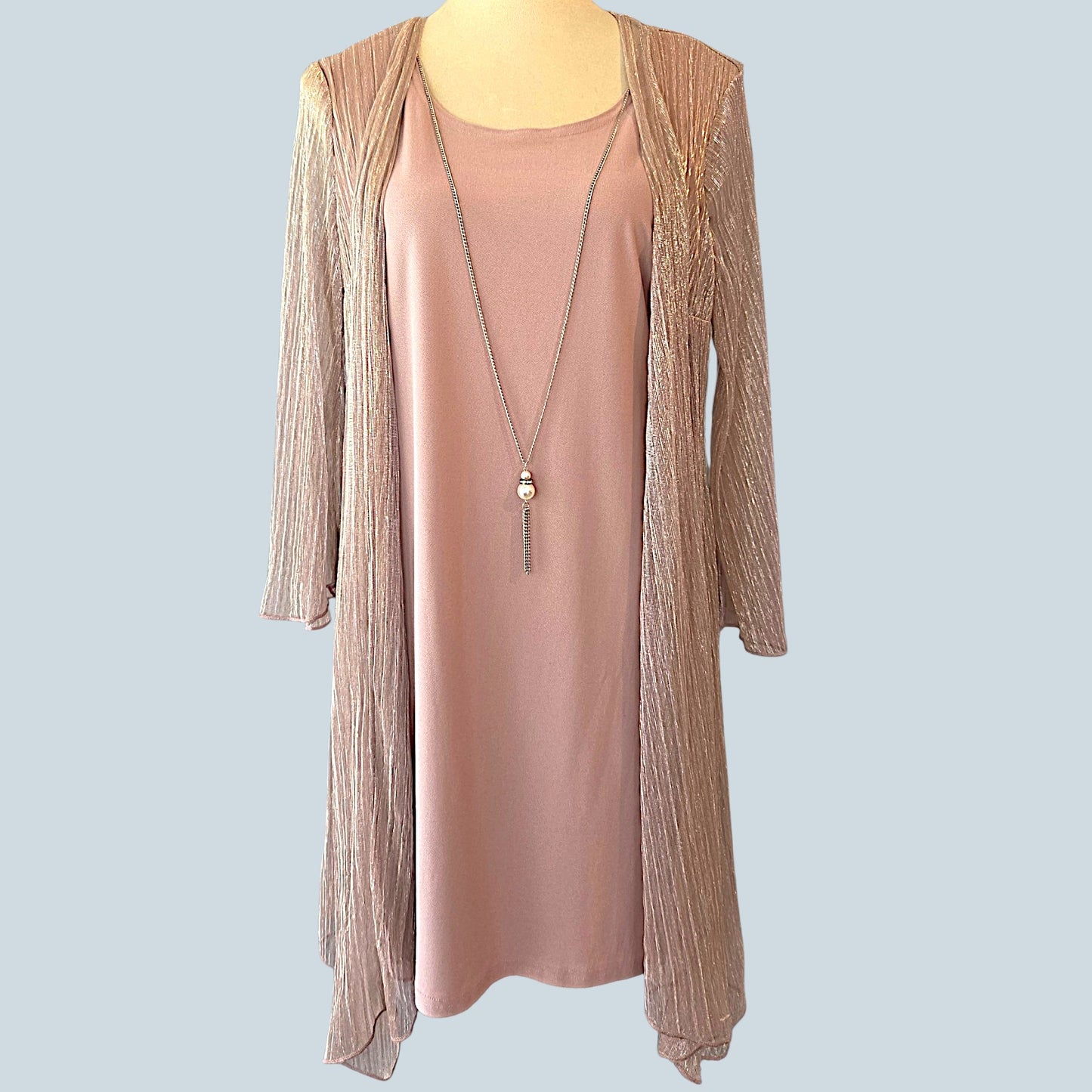 Rose Silver One Piece Dress