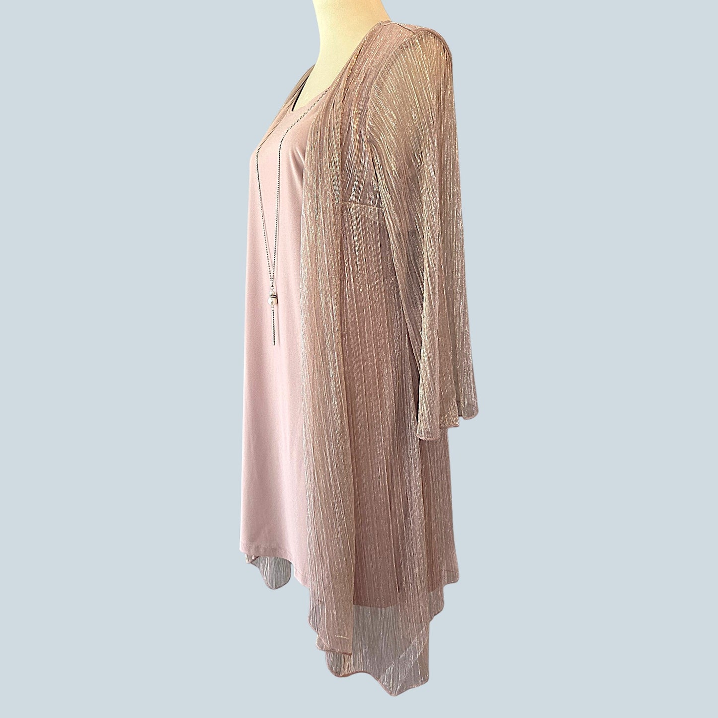 Rose Silver One Piece Dress